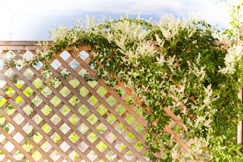 Garden Trellis Installation in Kansas City, KS