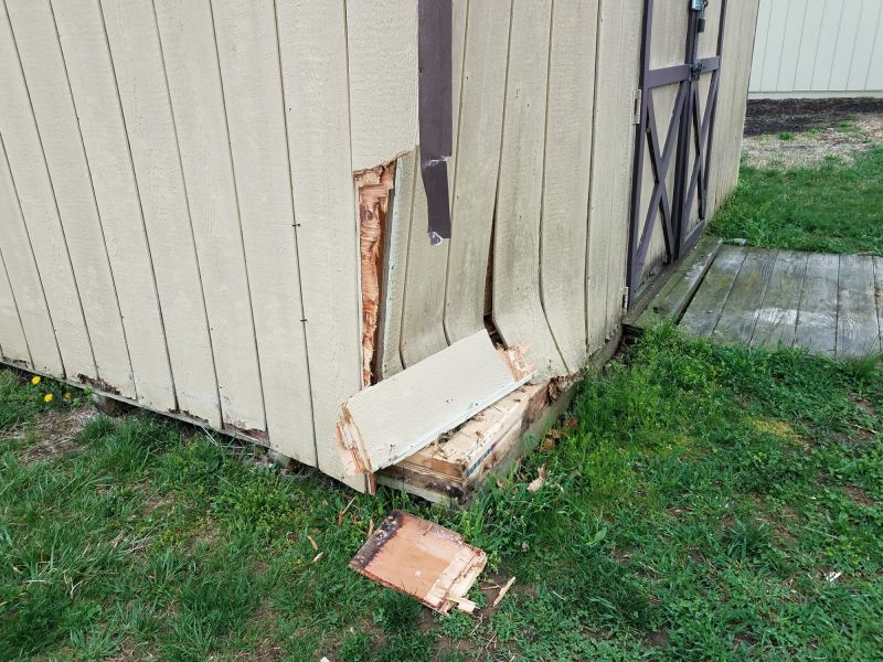 Shed Roof Repair in Olathe, KS